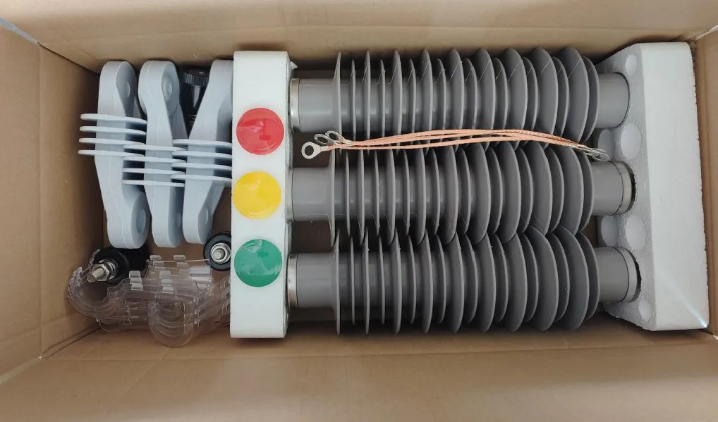 Global Customers' Orders for Lightning Arresters Successfully Packaged and Ready for Shipment